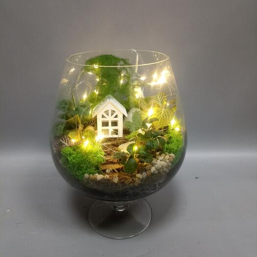 Florarium iluminado "Casa en los trópicos" en una Copa de vino