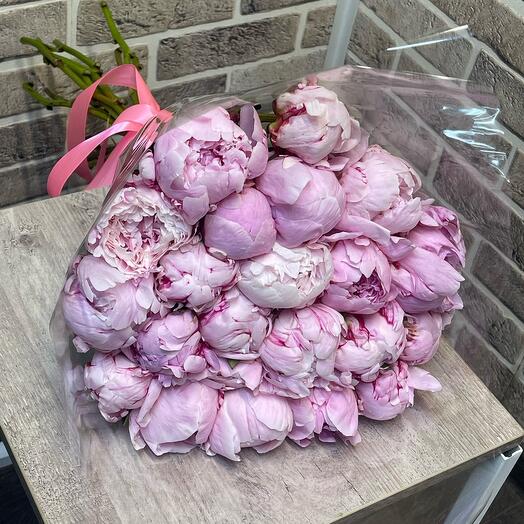 Пионы 21🌸