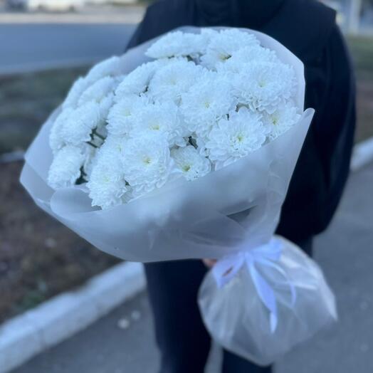 Хризантема во льдах