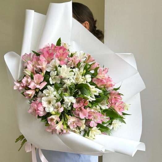 FREESIA
