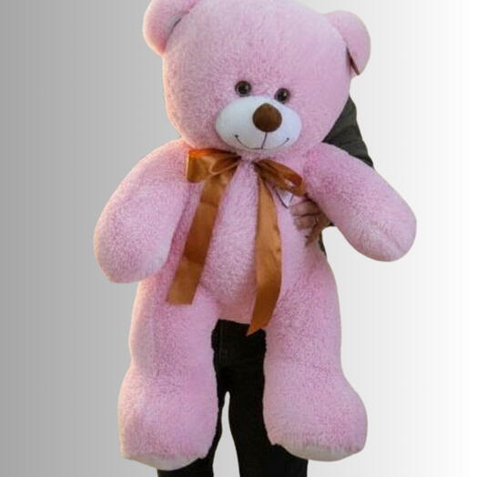 Bears by