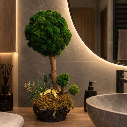  MossLaB