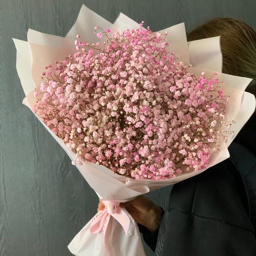 Ramo "mono de gypsophila rosa"