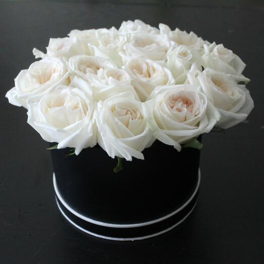 20 White Ohara Roses Box