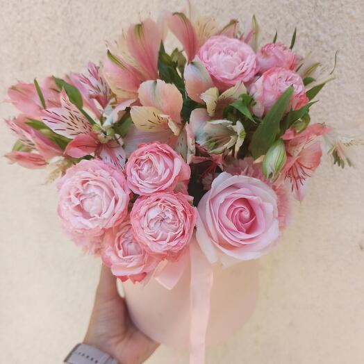 Pink Dream