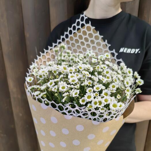 Букет из ромашек (Сантини)