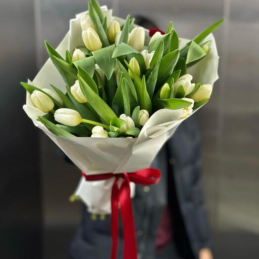 White tulips 🤍
