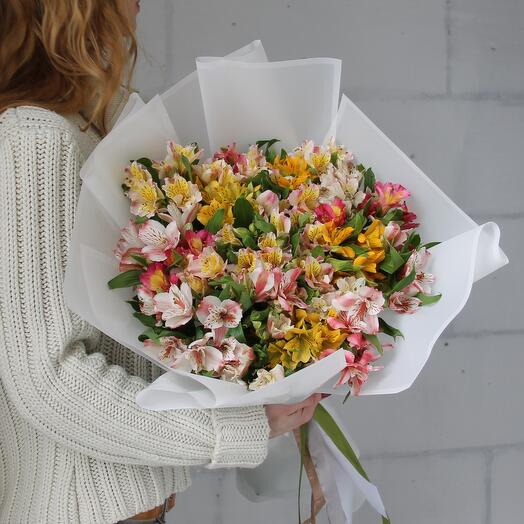 decoriflora