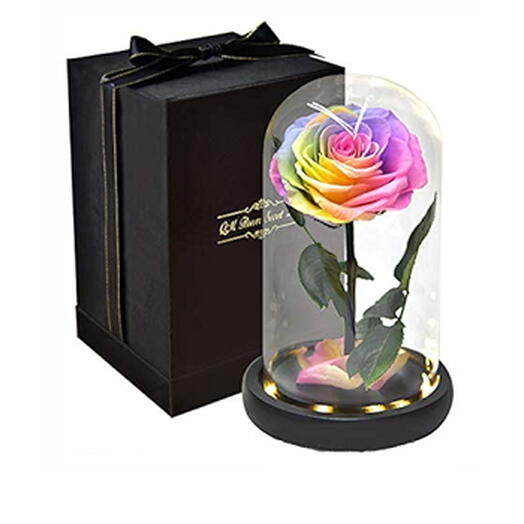 Glass Dome Vase With Single rose Rainbow