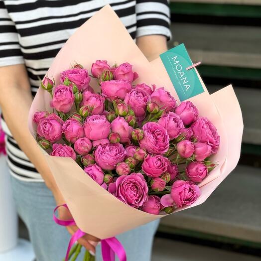 Misty Bubbles Size - M