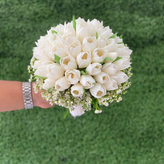 Lovely White Tulips