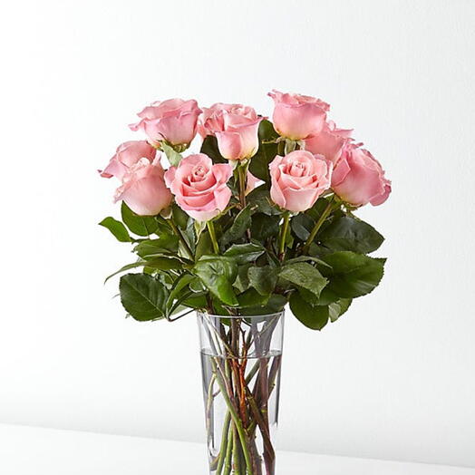 Pink rose in vase