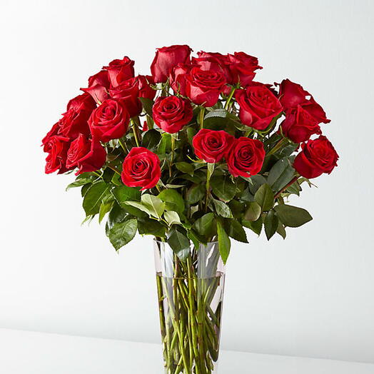 Red roses in Vase