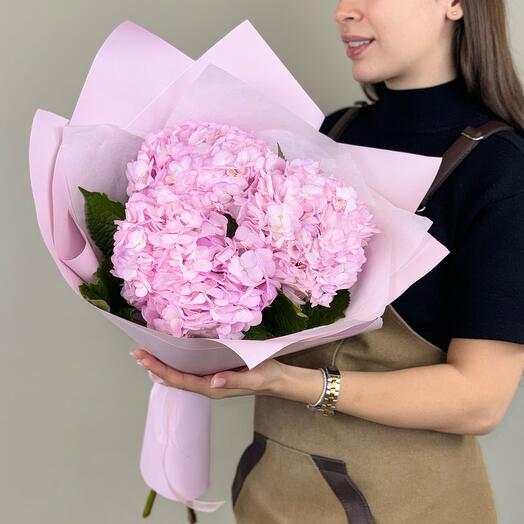 Bouquet of pink hydrangeas