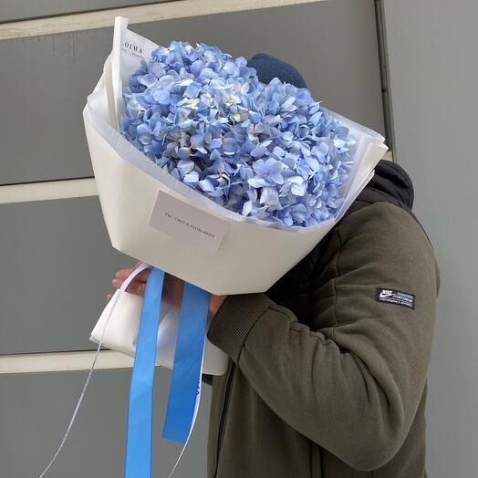 Hortensia azul