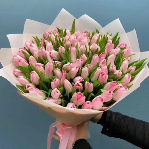 49 Pink Tulips