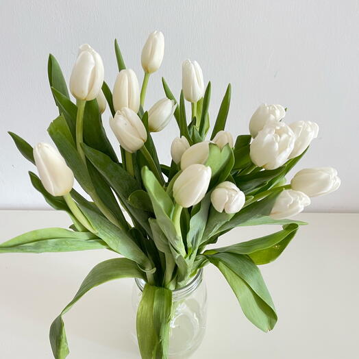 White Tulip Bunch