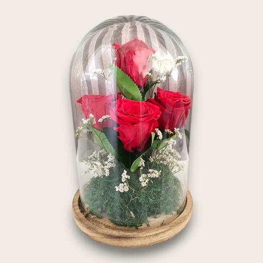 Love Bite Preserved Rose Dome