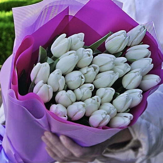 25 white tulips