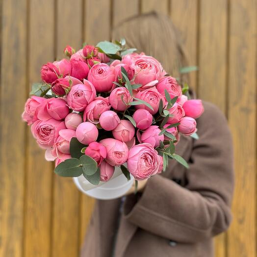 Bloom
