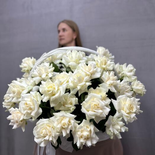 Корзина белых французских роз, размер L (75 шт) — мечта всех девочек