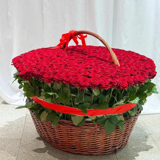 Большая корзина с красными розами 501 шт