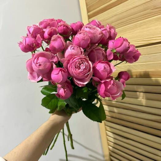 Роза пионовидная 💞