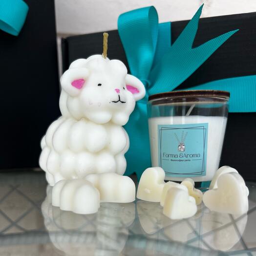 Forma & Aroma