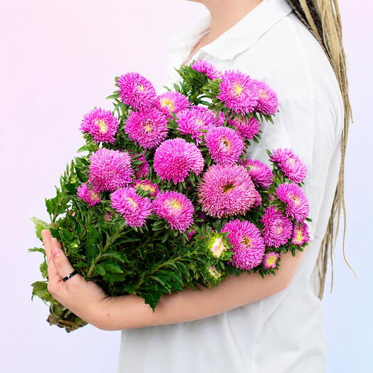 Krasnodarflora Opt