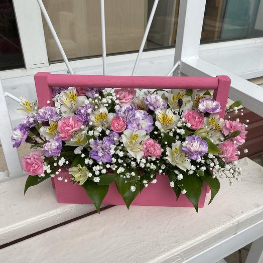 Boxes Kustov Dianthus