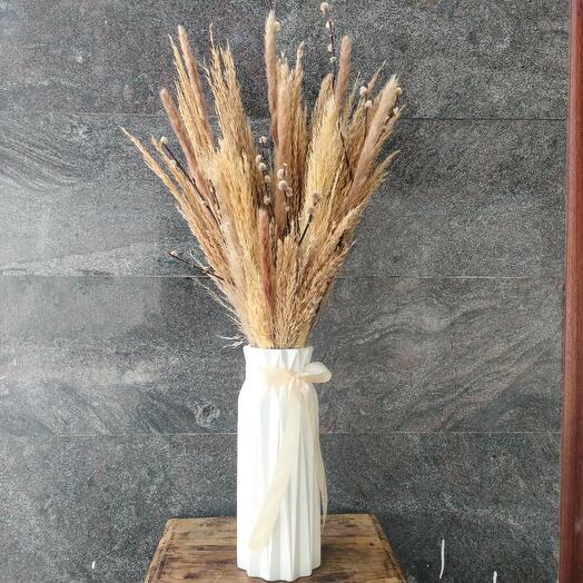 Biege Pampas Grass in White Vase