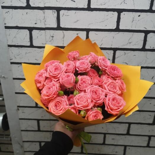 11 bush peony-shaped roses