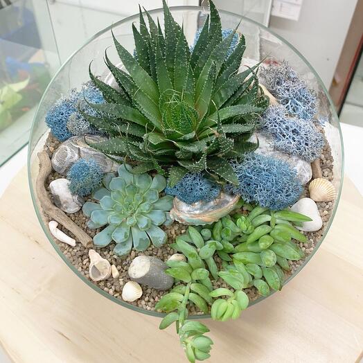 Florarium