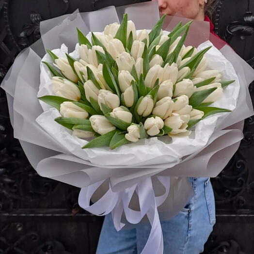 50 white tulips