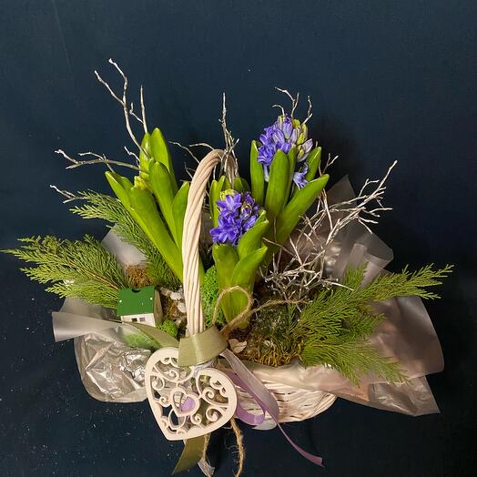 Корзина с гиацинтами и новогодний декором