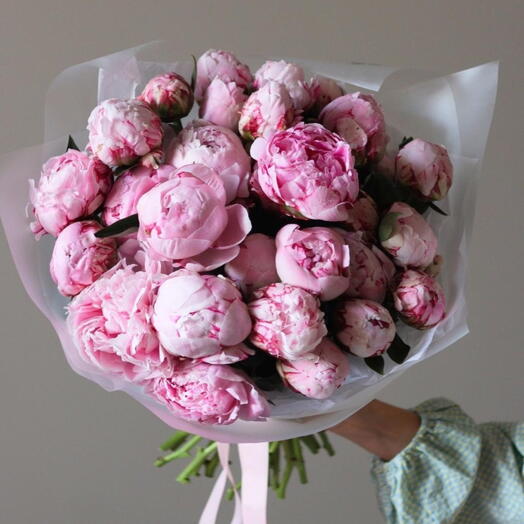 Peony pink