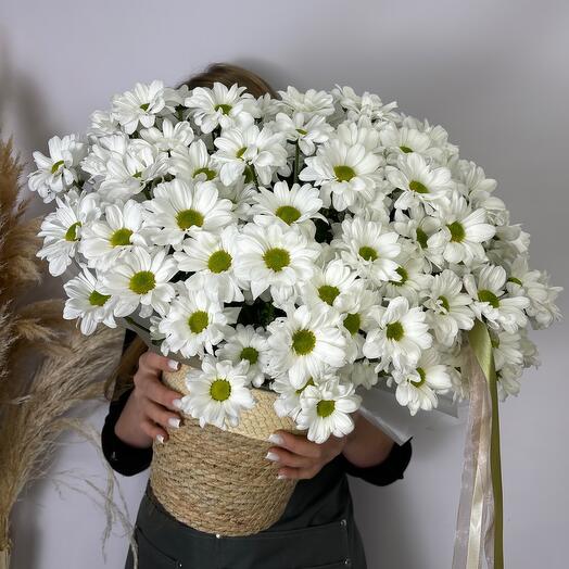 Большая корзина из ромашковых хризантем