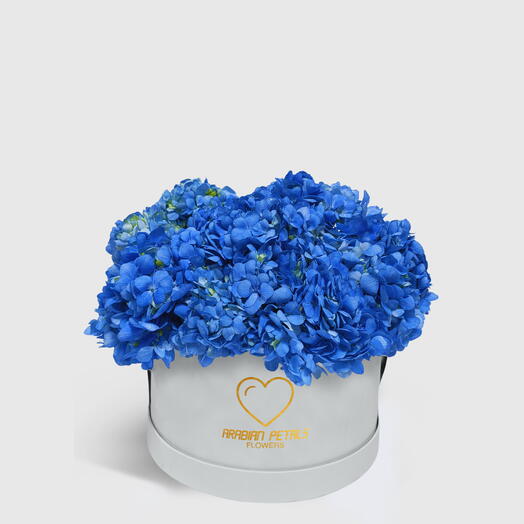 Blue Hydrangea Medium White Box