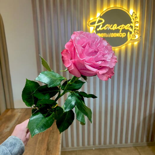 Flokafe 