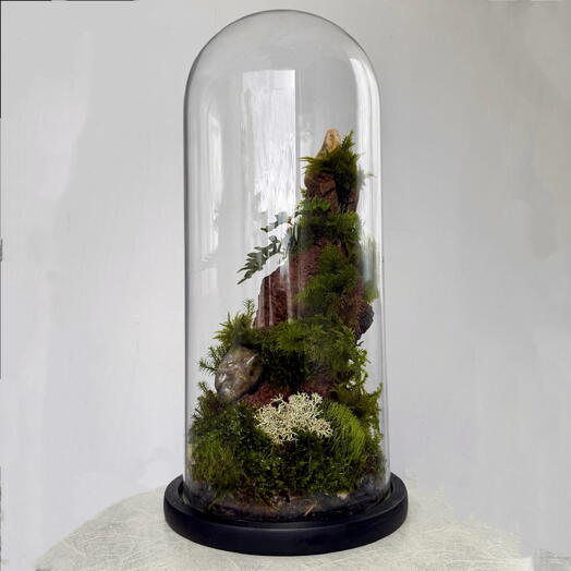 Florarium nch