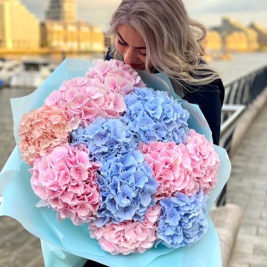 Colourful bouquet of hydrangeas