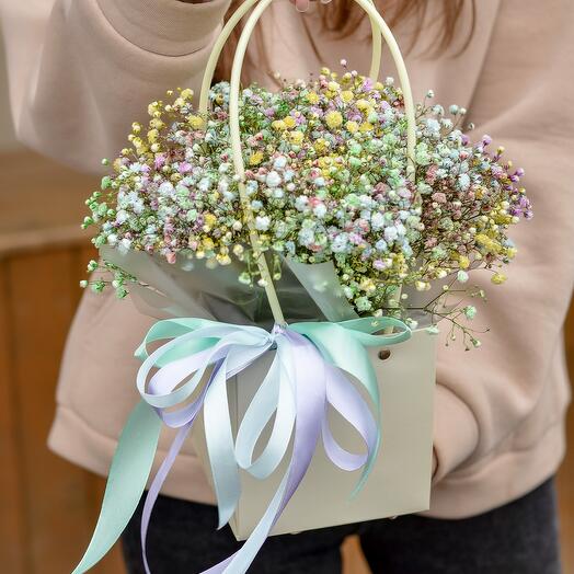 Сумочка с гипсофилой