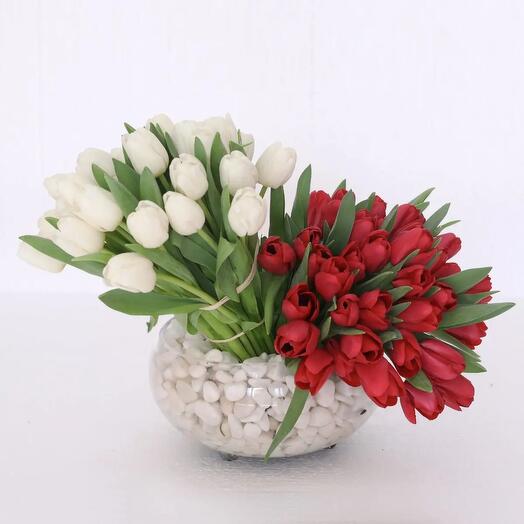 Lavishing 61 Red and White Tulips