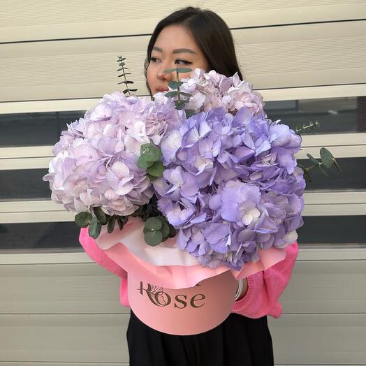 Коробка пышных гортензий