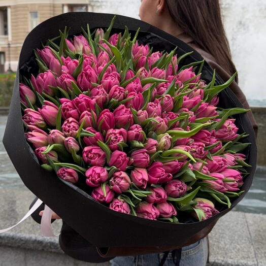 100 pink tulips