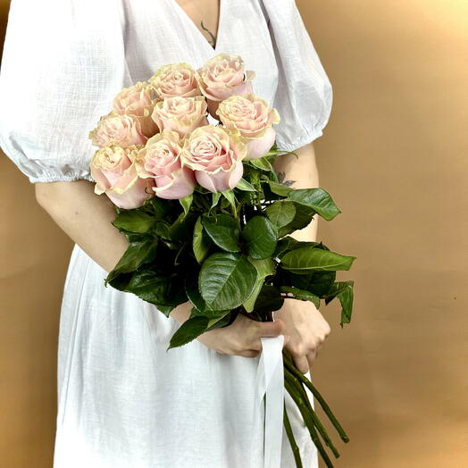 Розовая роза Пинк Мондиаль Pink Mondial 9 шт