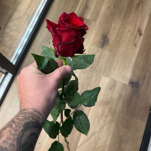 BRAUN’FLOWER