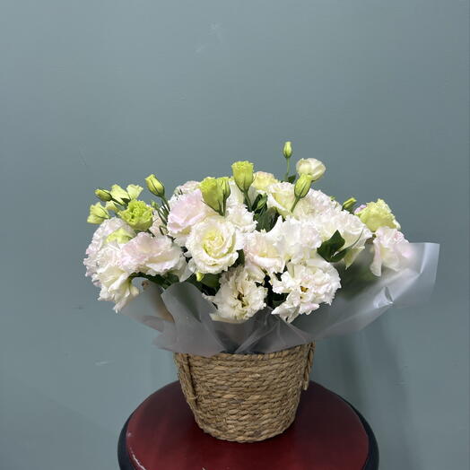 Flora Decor