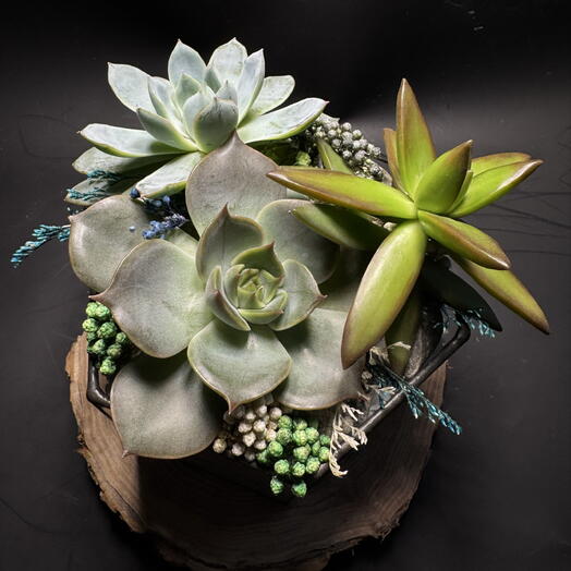 Фея_Flora