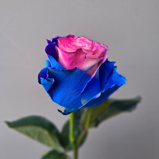 Флоренс